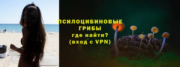 соль курить ск Ладушкин