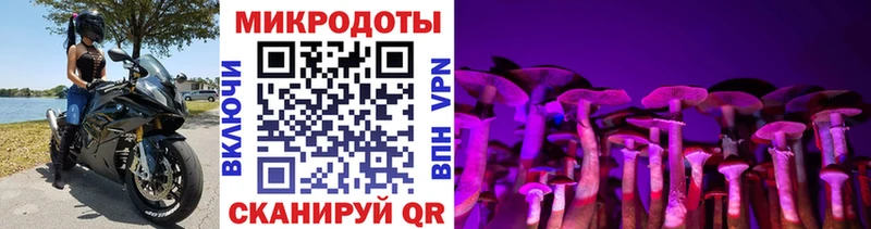 Псилоцибиновые грибы мухоморы сайты даркнета формула Называевск ОМГ ОМГ онион